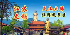 免费老妪性爱视频江苏无锡灵山大佛旅游风景区