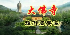 欧美猛男的大粗鸡巴插进逼逼里视频免费中国浙江-新昌大佛寺旅游风景区